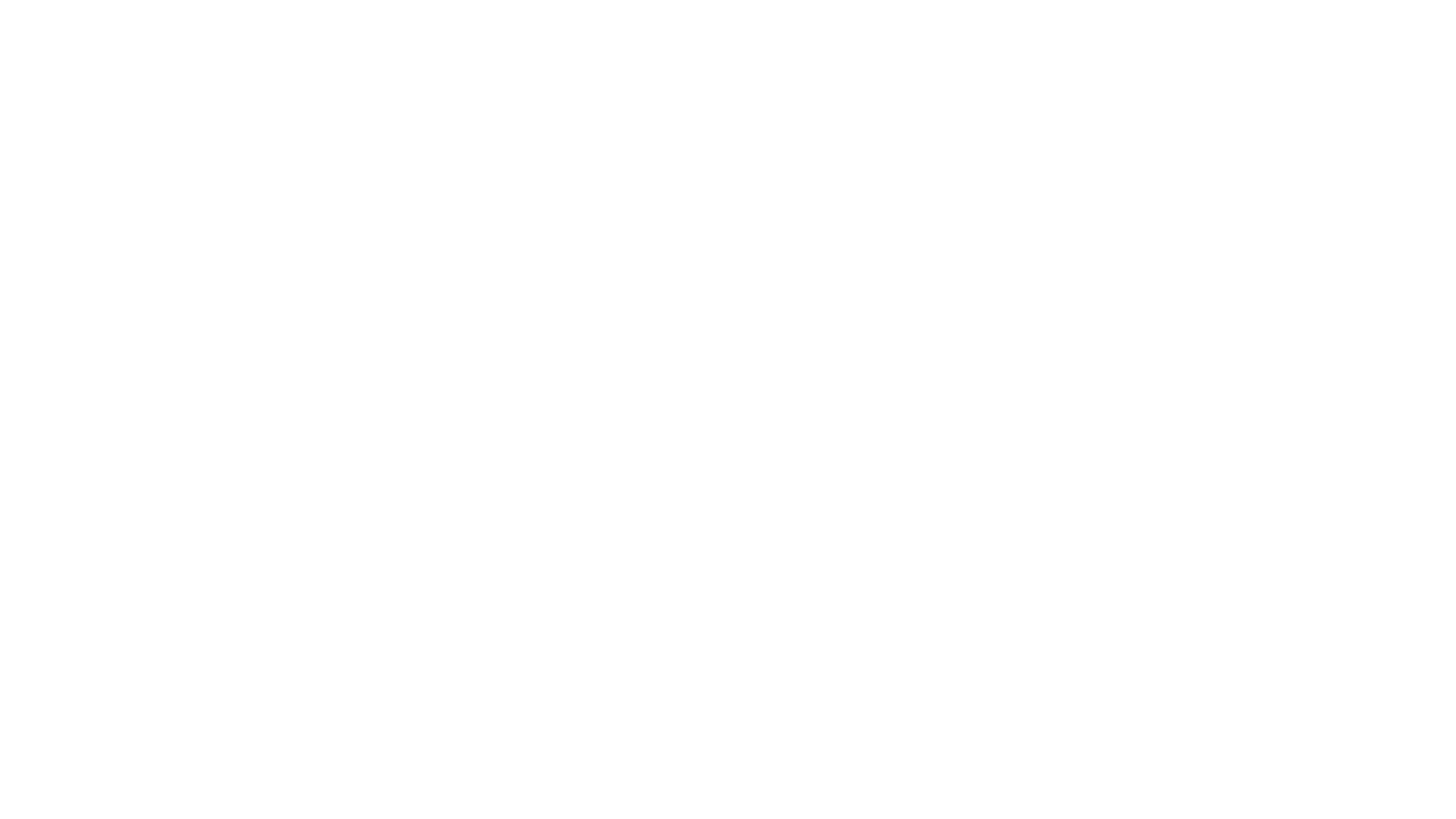 light logo